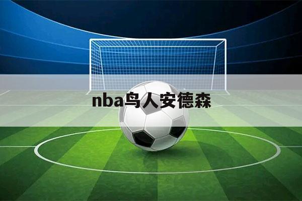 nba鸟人安德森（鸟人安德森生涯薪水）-第1张图片