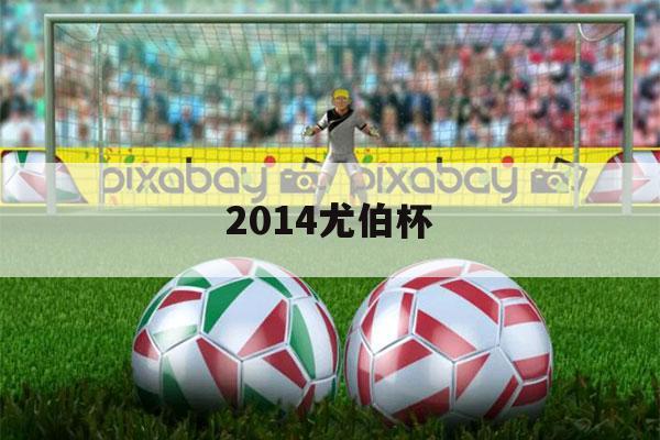 2014尤伯杯（2014尤伯杯决赛）-第1张图片