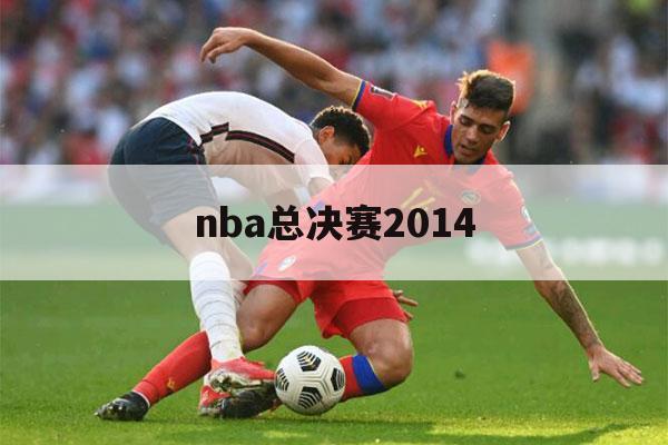 nba总决赛2014（nba总决赛2022）-第1张图片