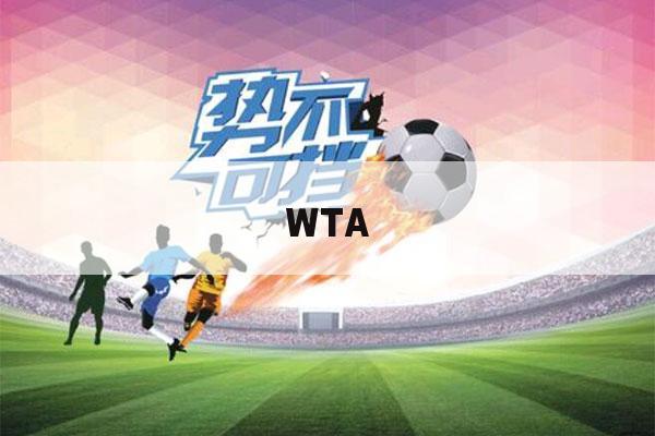 WTA（wtam是什么平台）-第1张图片