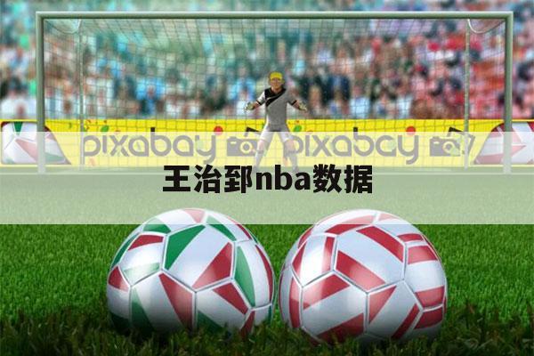 王治郅nba数据（王治郅cba数据）-第1张图片