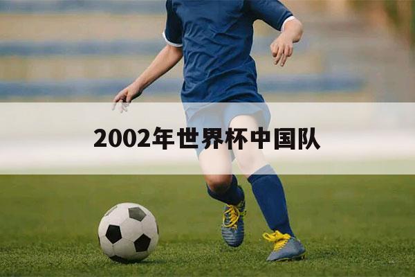 2002年世界杯中国队（2002年世界杯中国队对巴西）-第1张图片