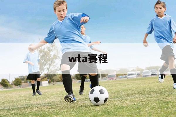 wta赛程（wta赛程2021年11月）-第1张图片